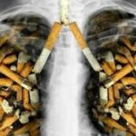 Bahaya merokok bagi sistem pernafasan