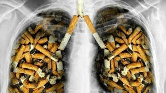 Bahaya merokok bagi sistem pernafasan